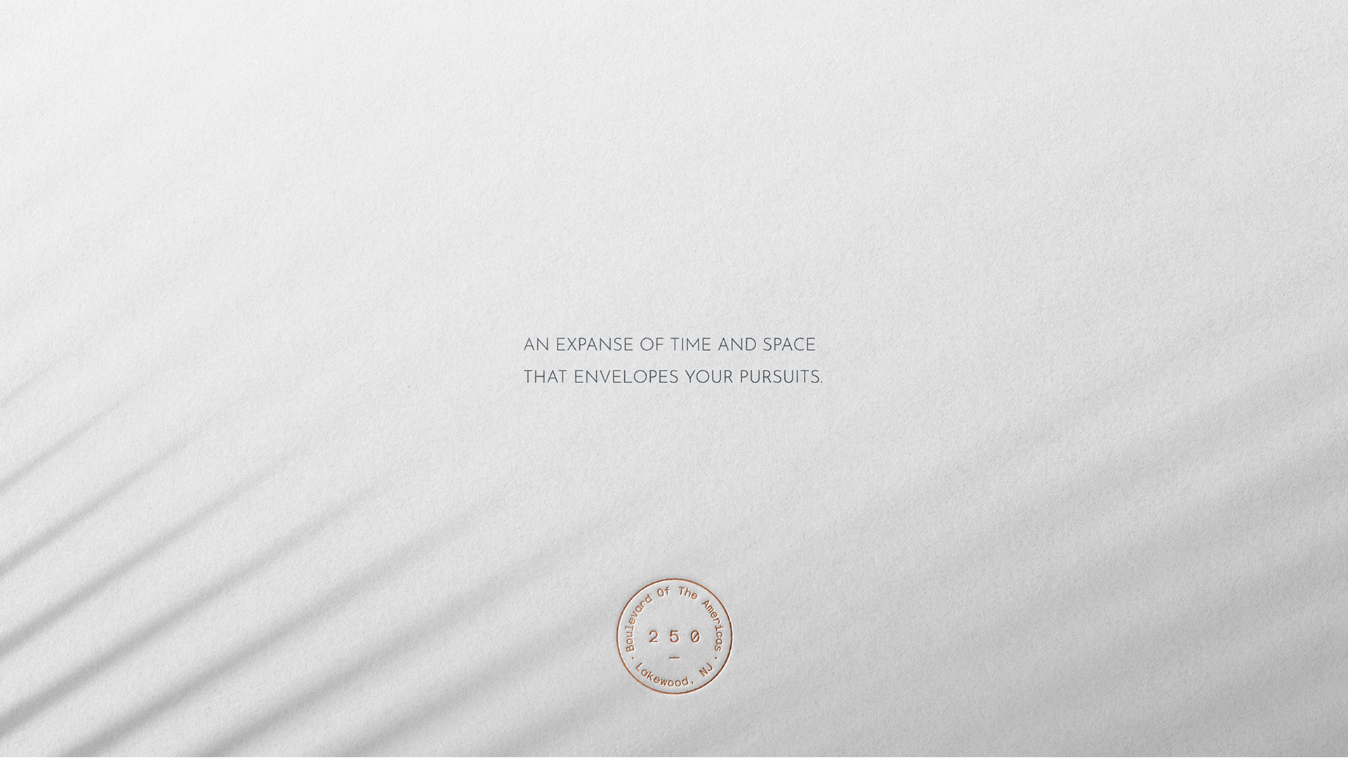 250 BOTA brand identity