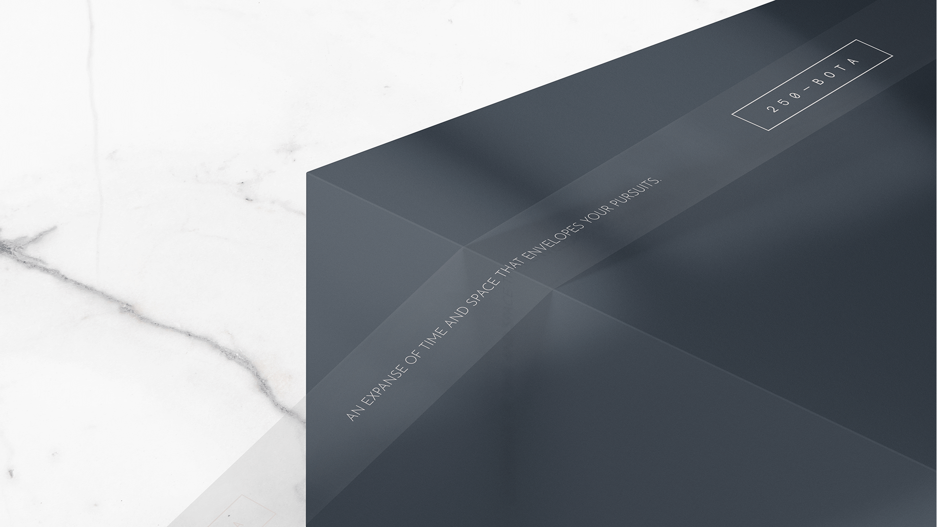 250 BOTA brand identity