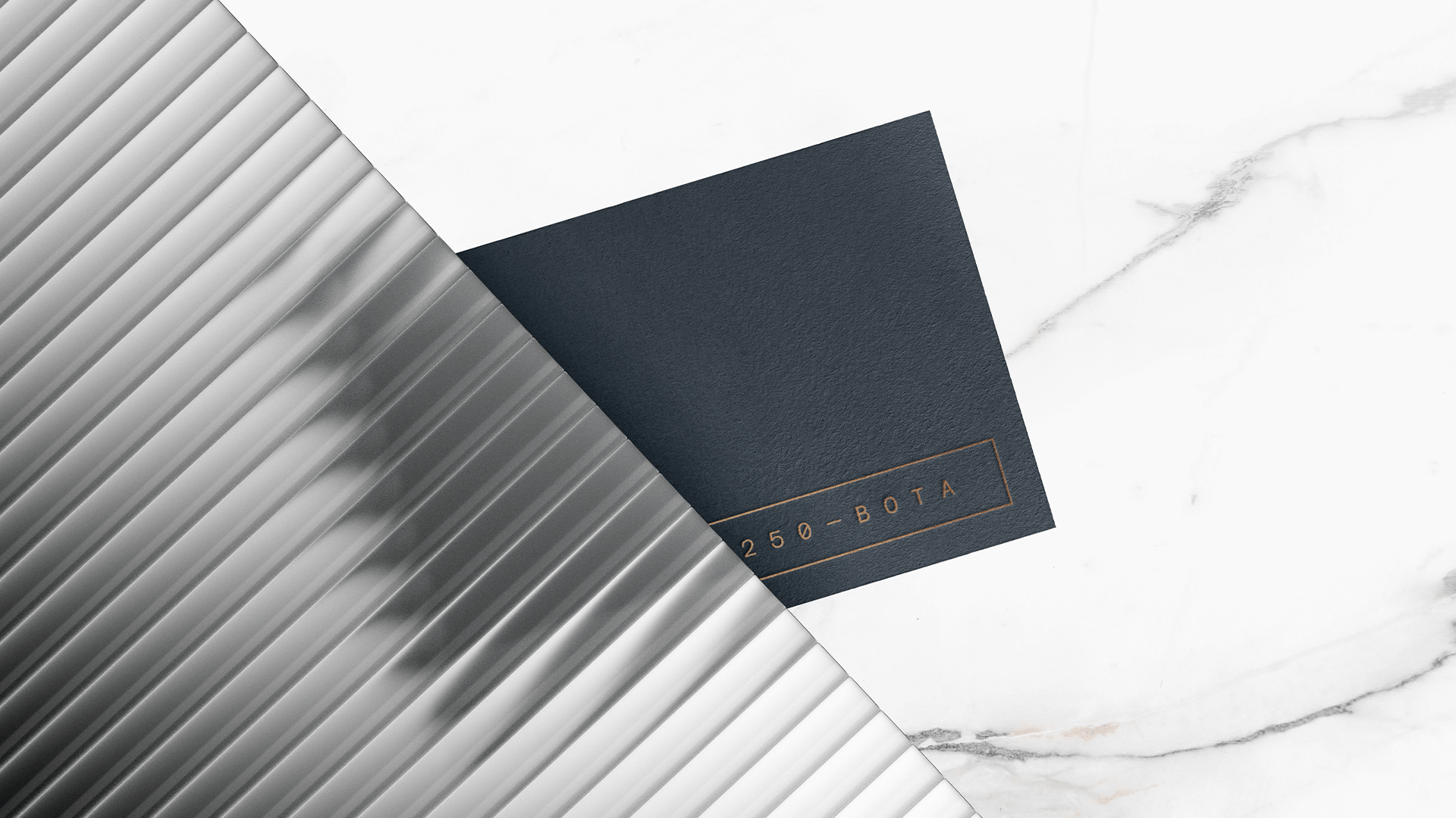 250 BOTA brand identity