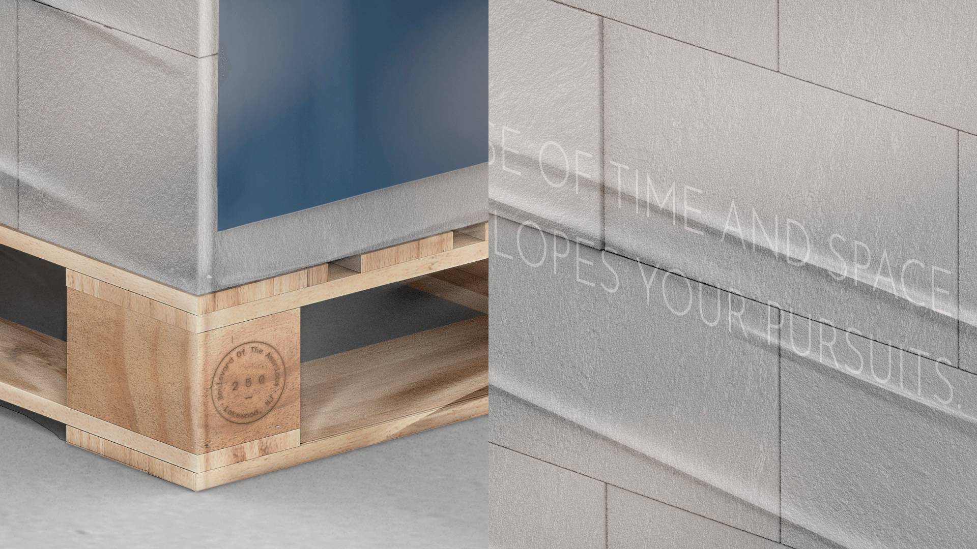 250 BOTA brand identity