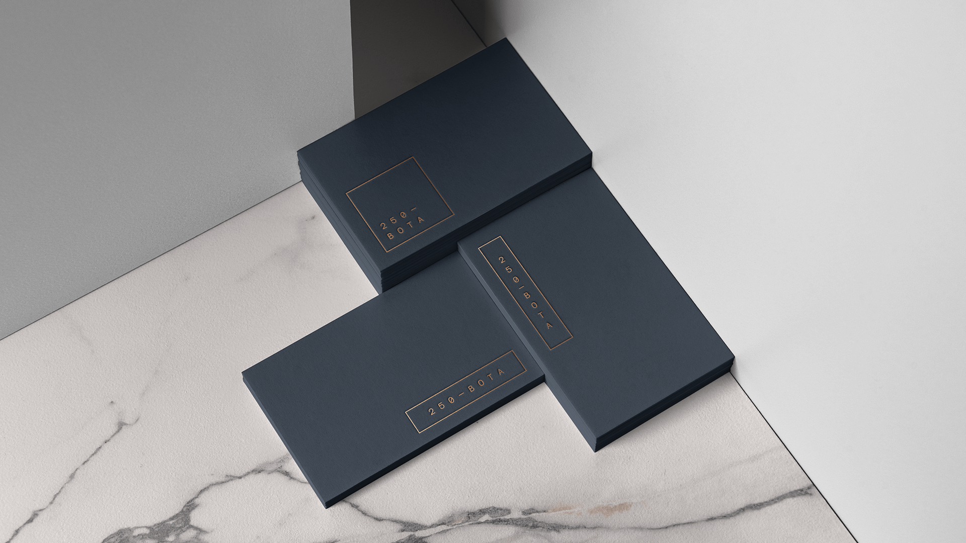 250 BOTA brand identity