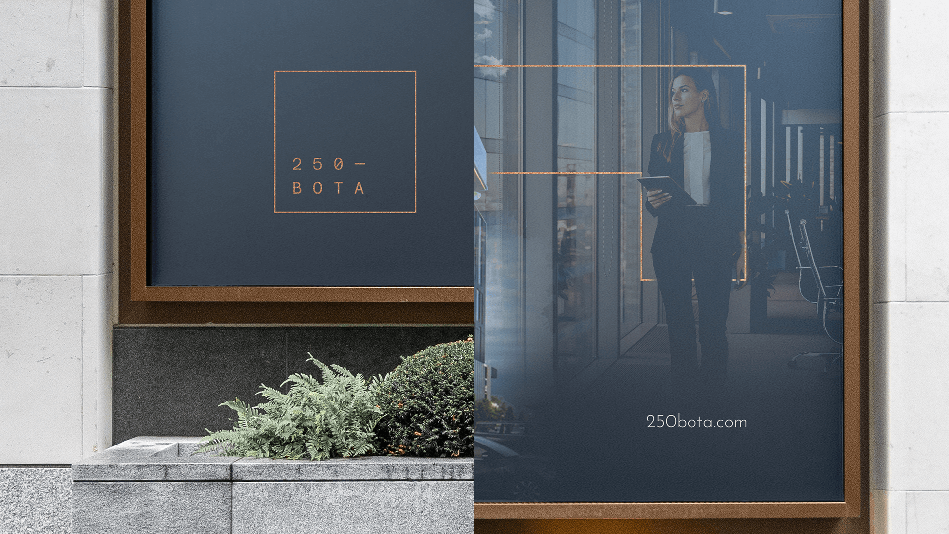250 BOTA brand identity