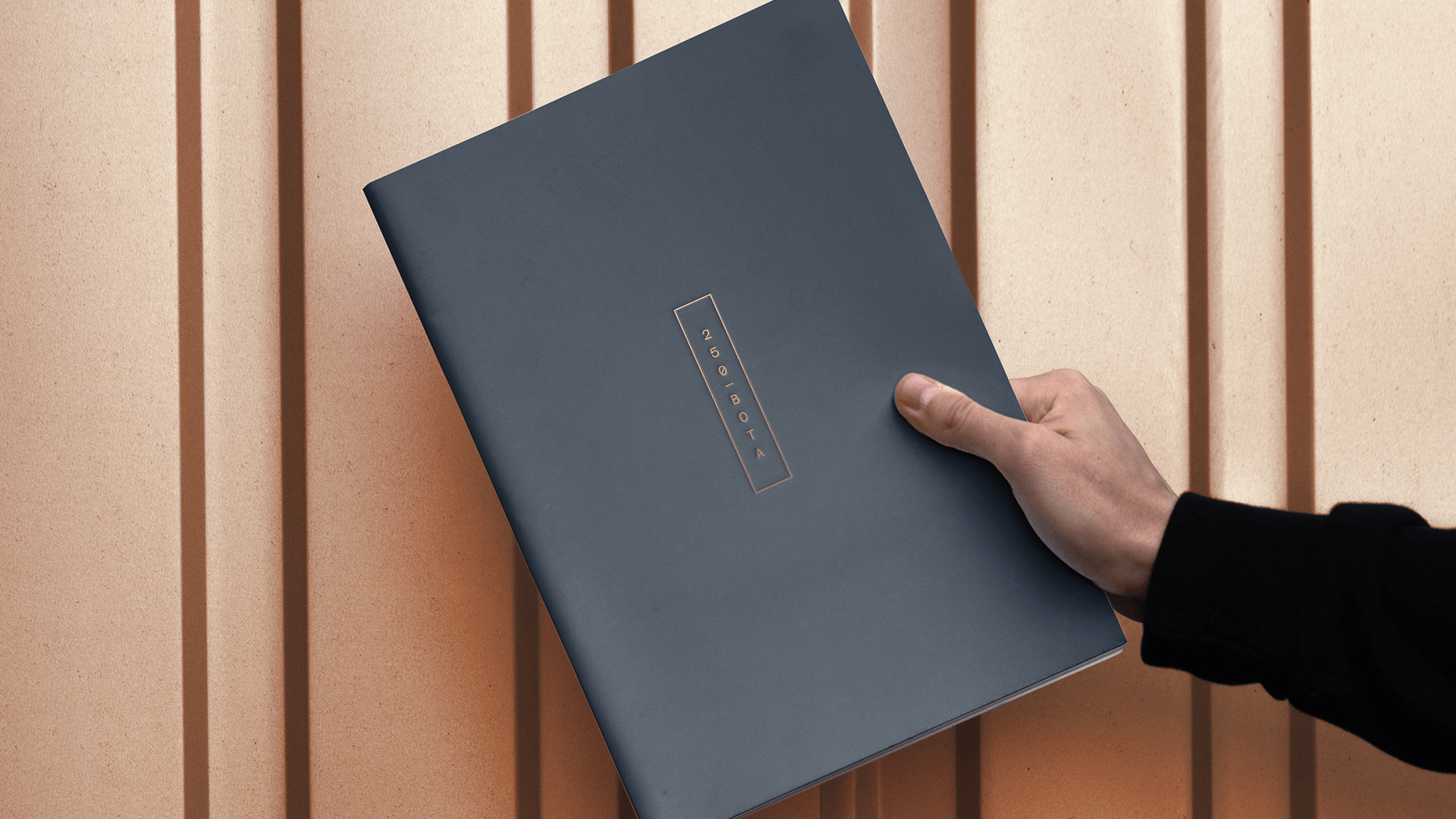 250 BOTA brand identity