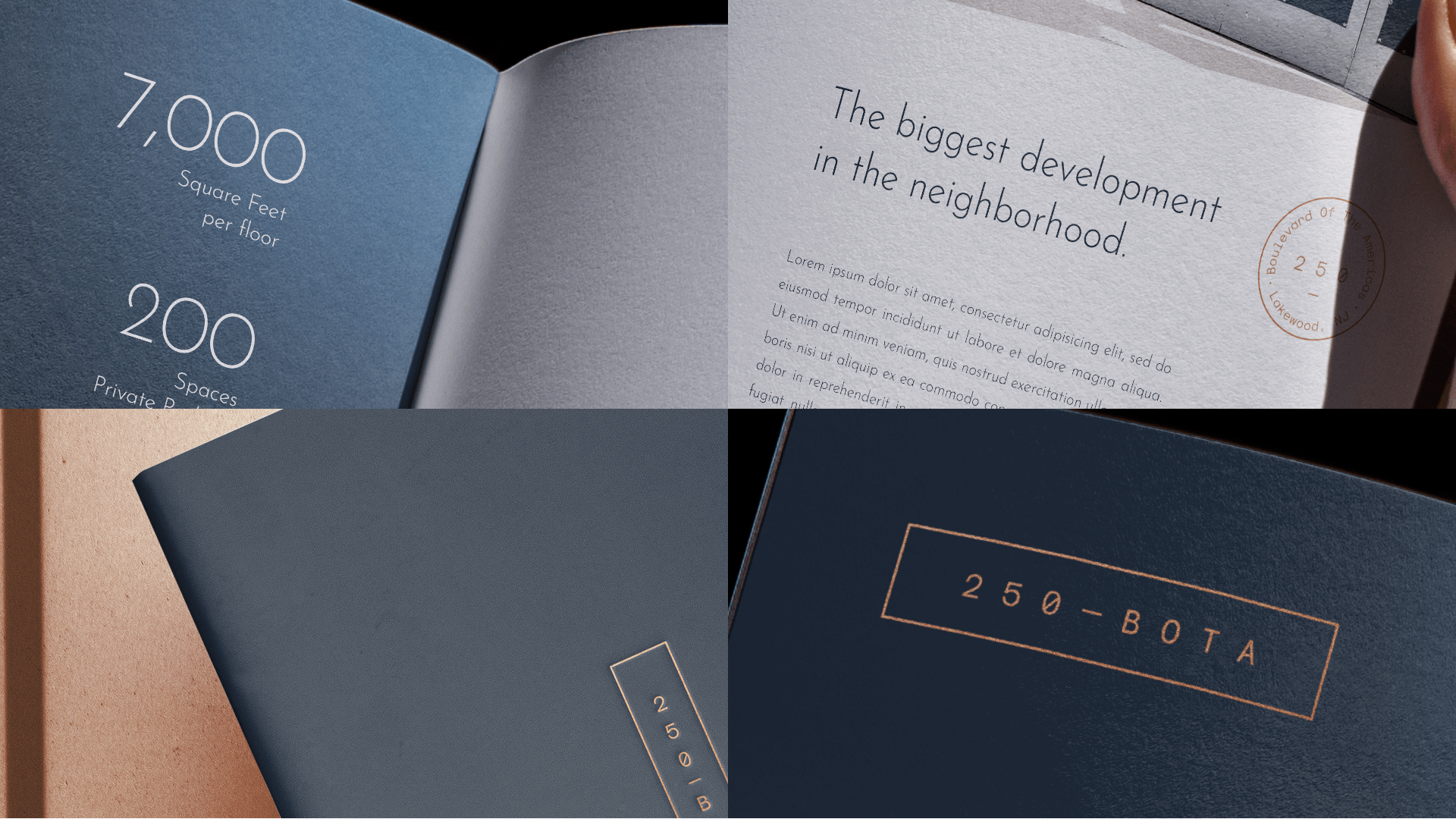 250 BOTA brand identity