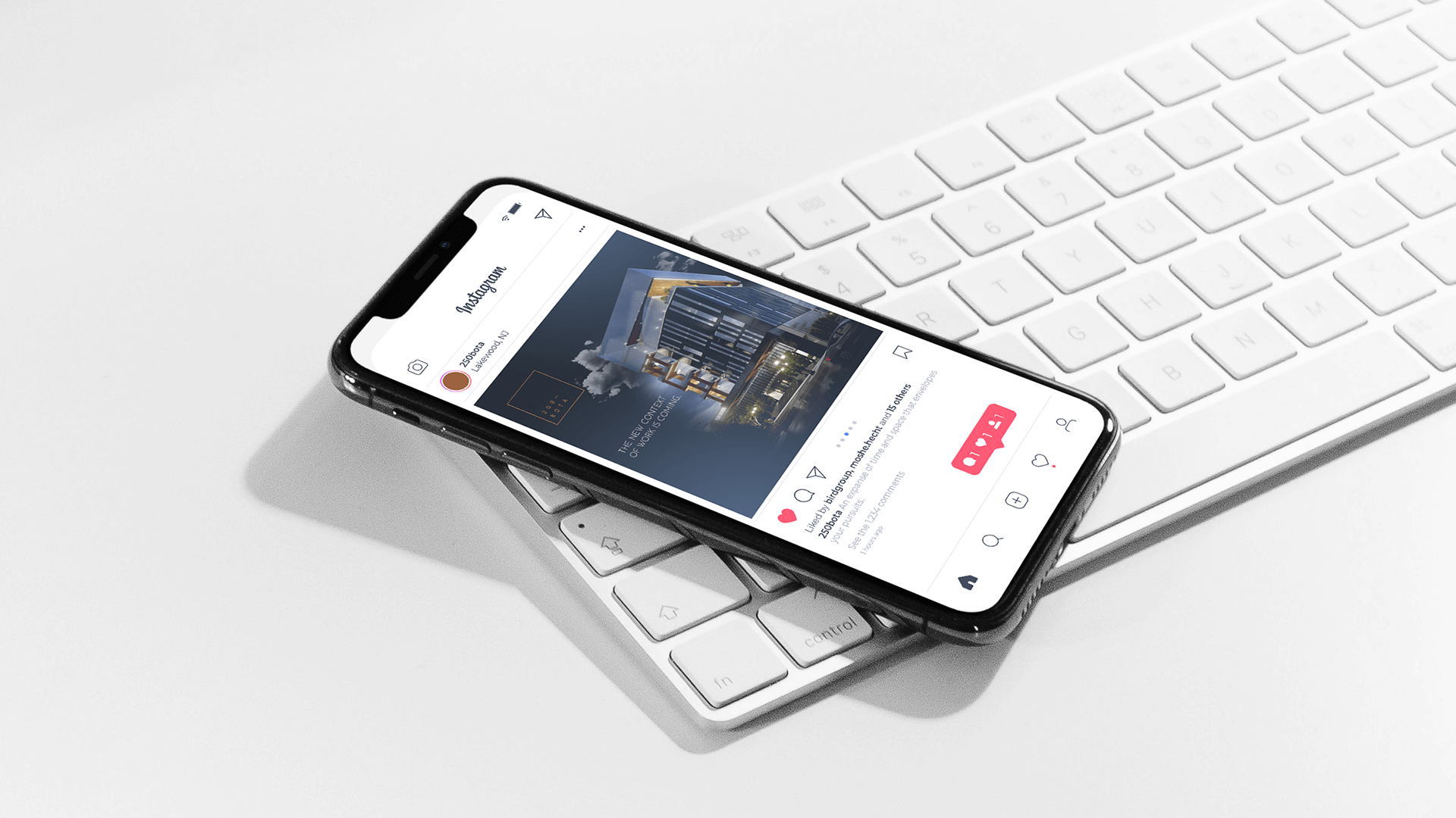 250 BOTA brand identity