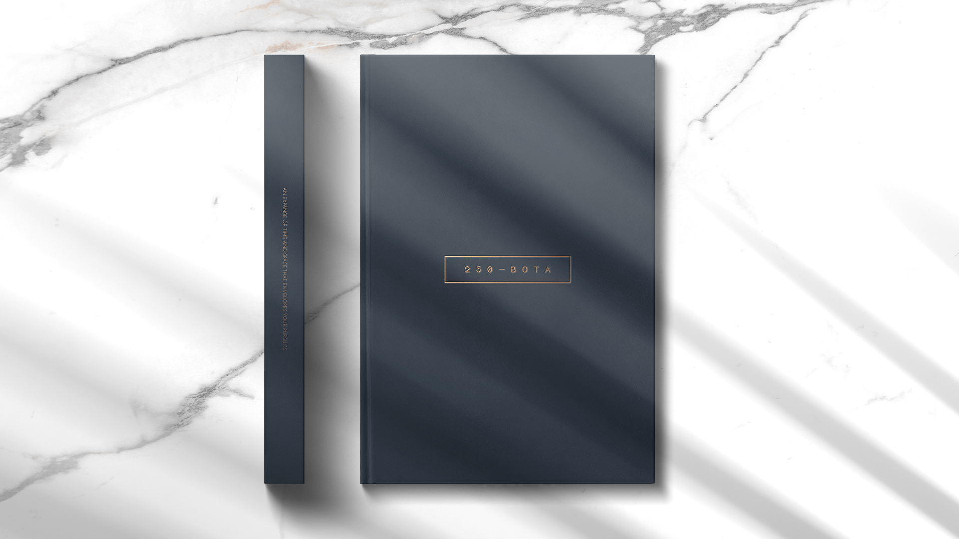 250 BOTA brand identity