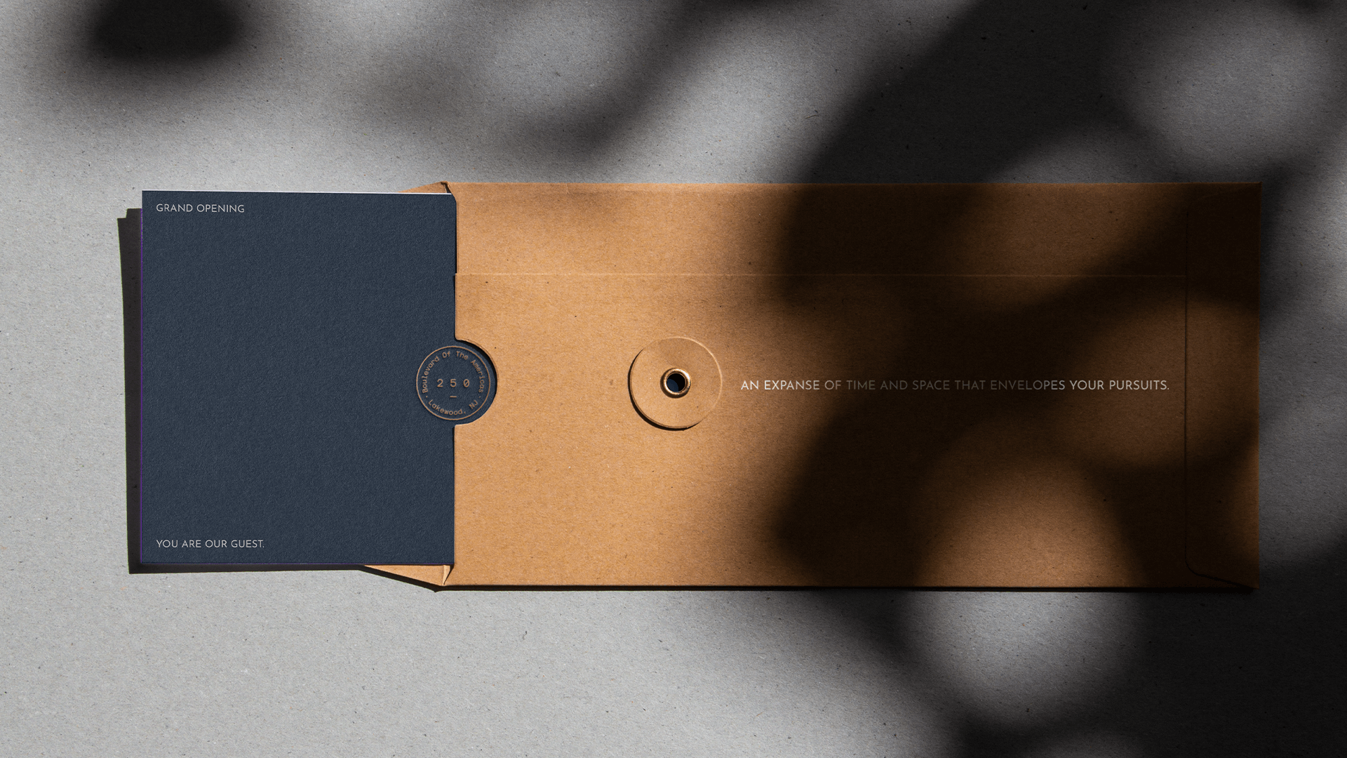 250 BOTA brand identity