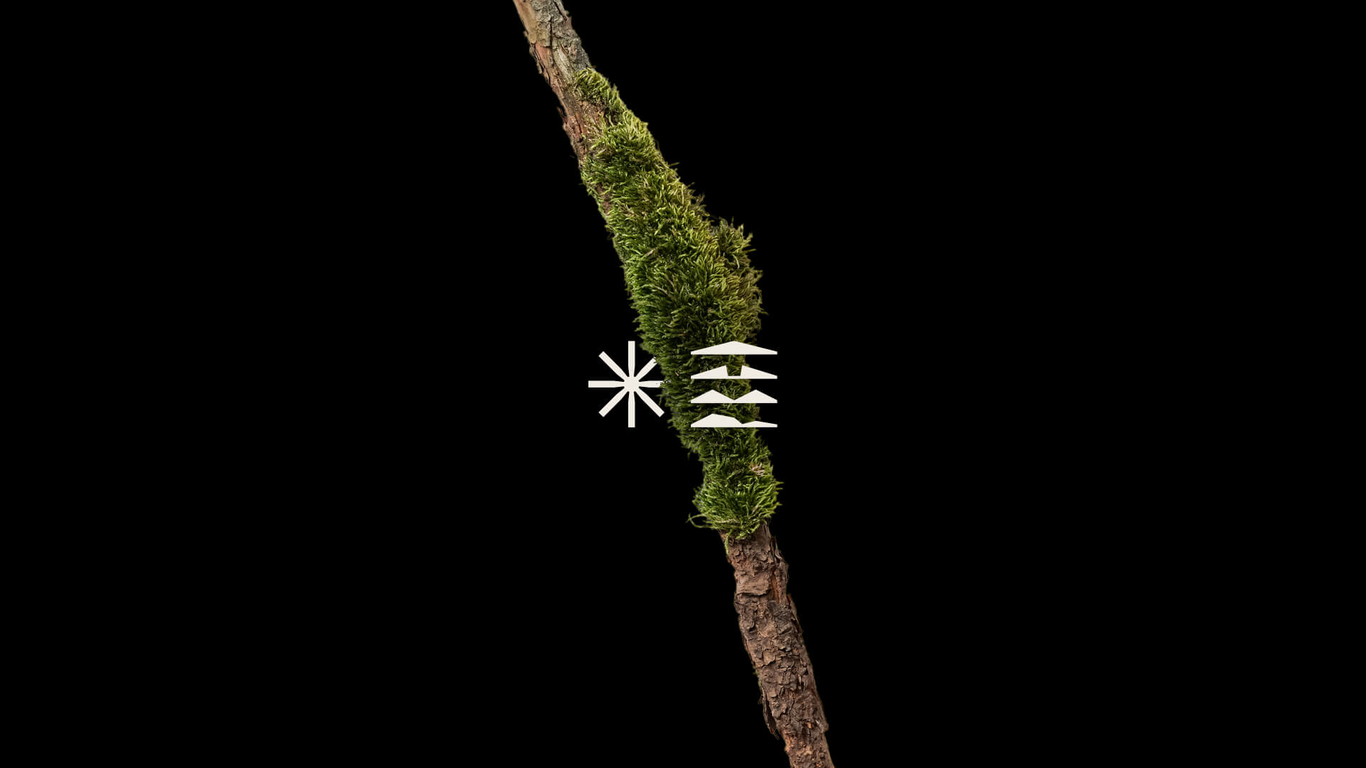 Axstone branding & marketing