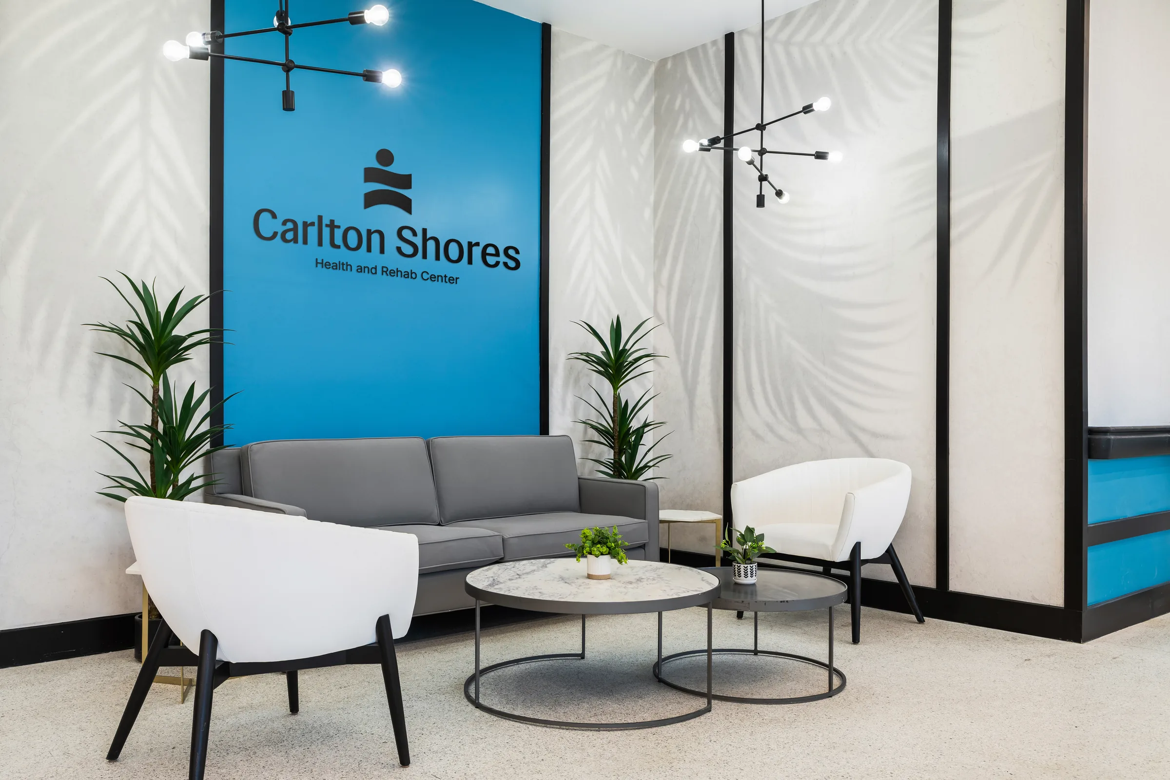 Carlton Shores welcome lobby with the brand mark on a blue feature wall, palm shadows on the walls