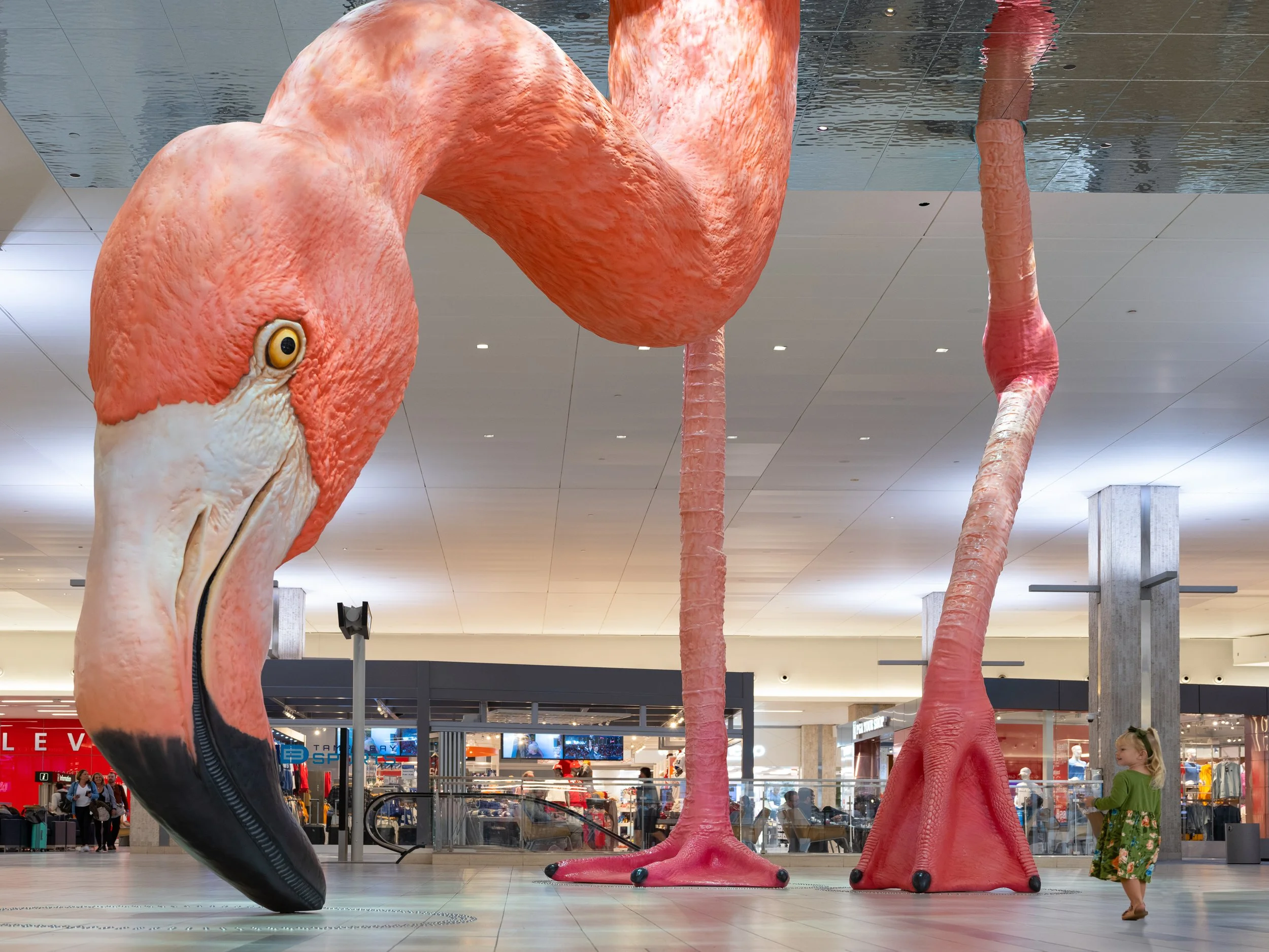 HOME installation by Matthew Mazzotta at Tampa International Airport
