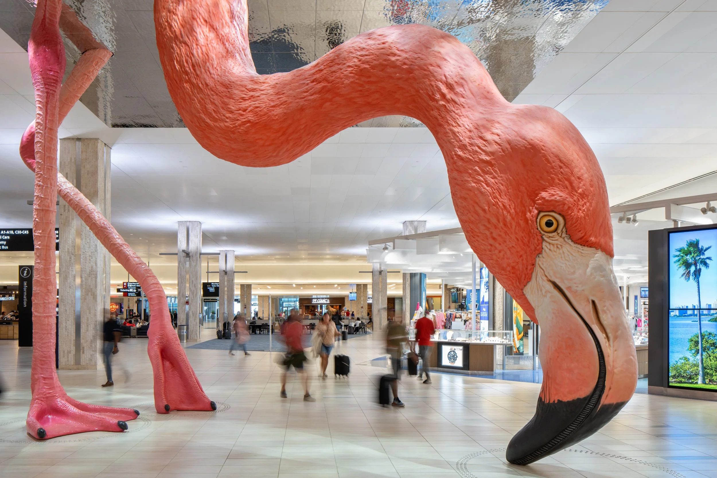 HOME installation interior, Tampa International Airport