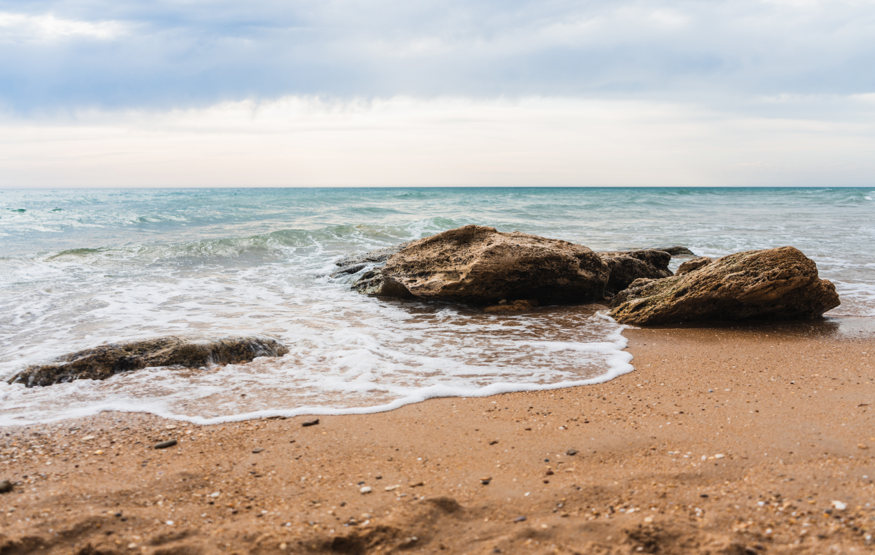 Waves breaking over rocks on a sandy shoreline, the brand's founding image