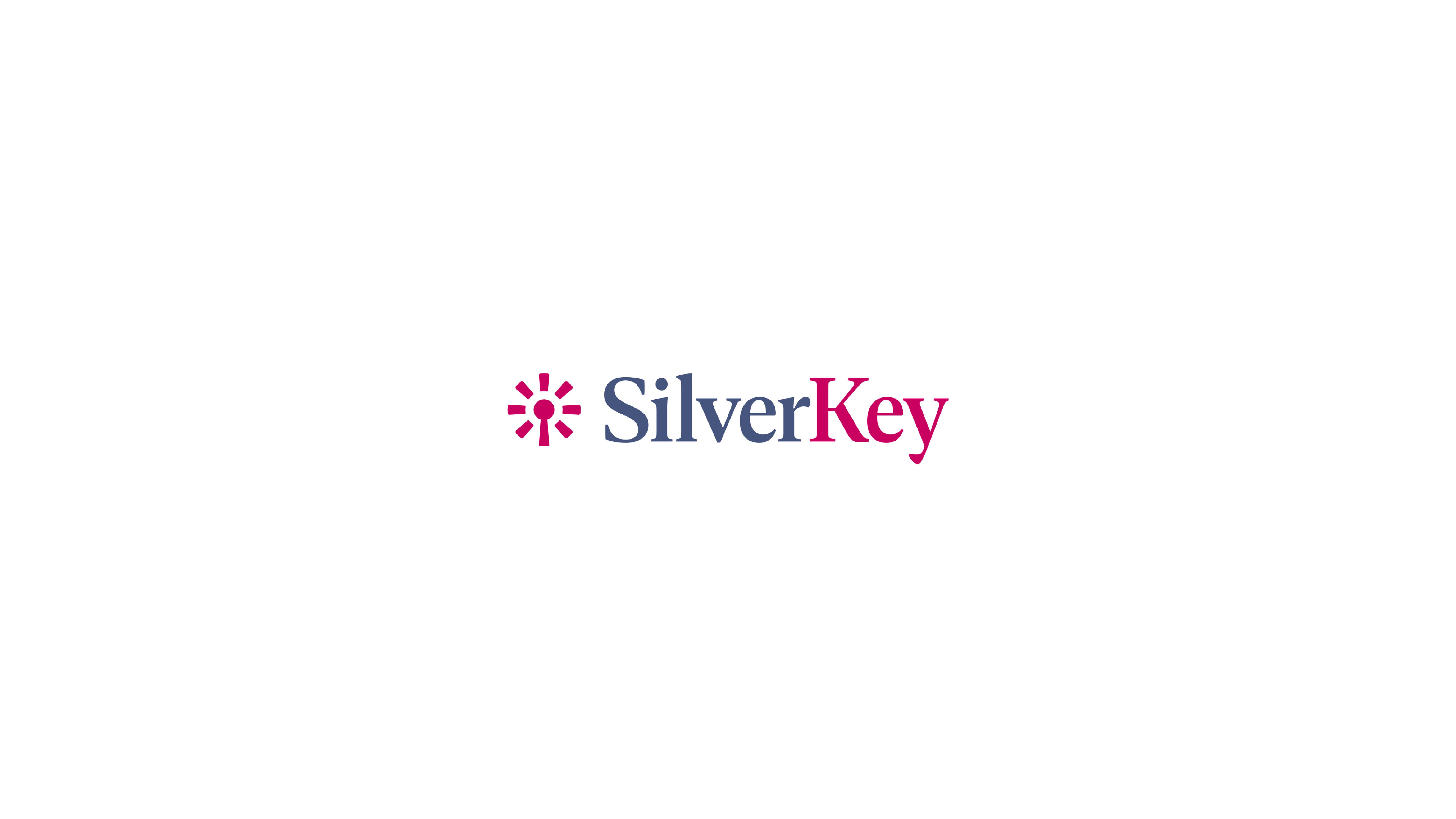 SilverKey brand asset b-1