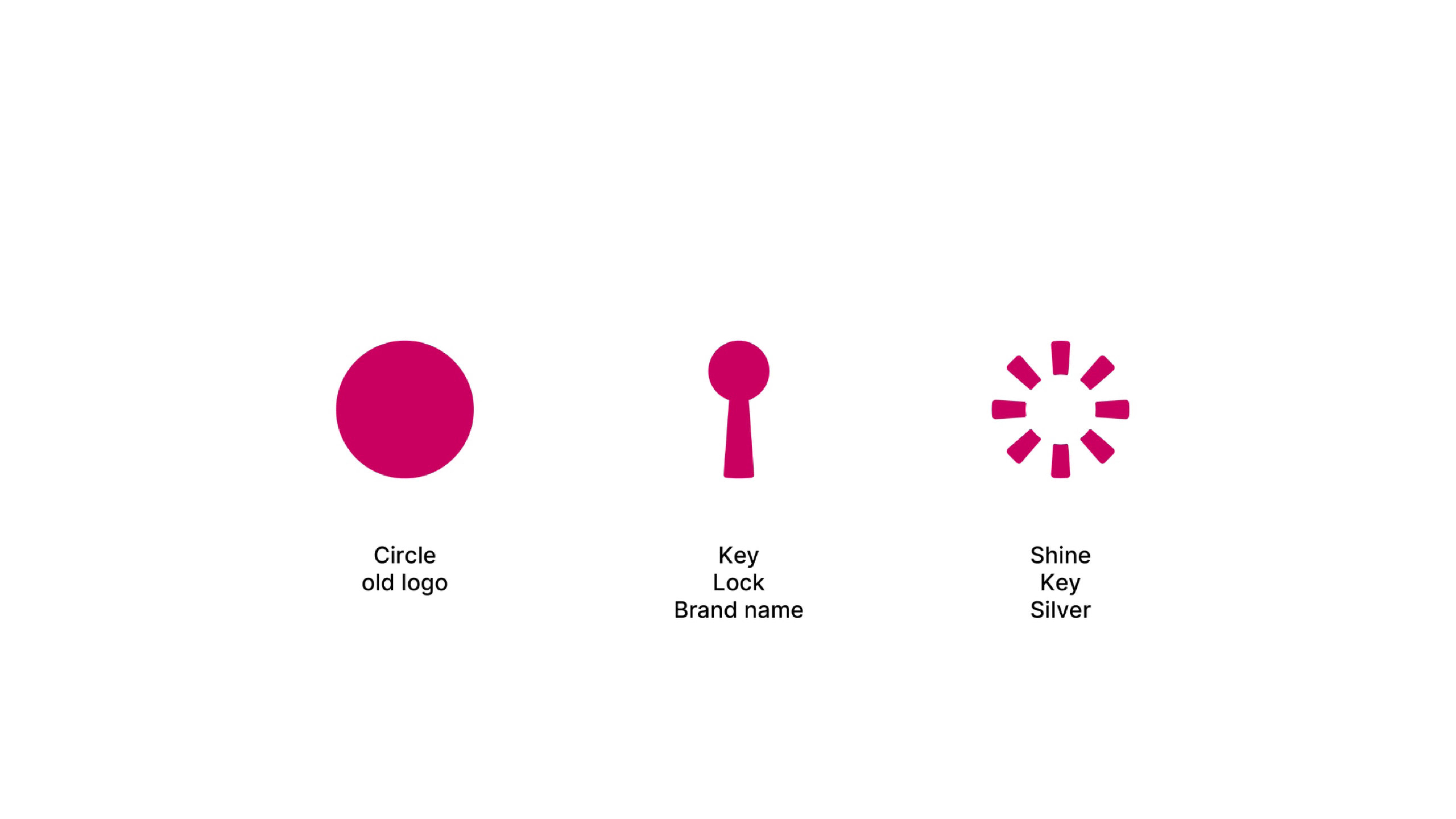 SilverKey brand asset b-2