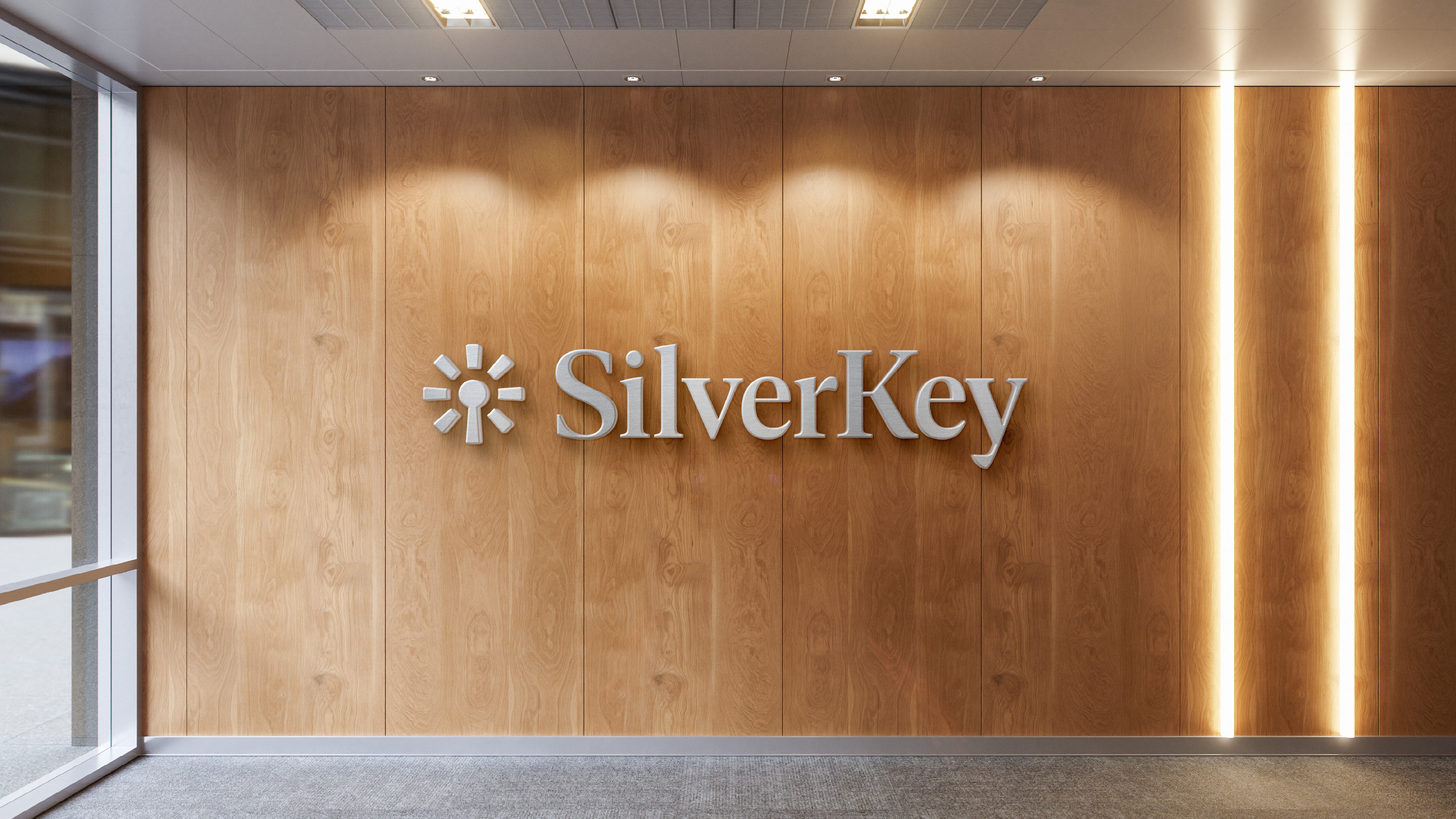 SilverKey brand asset d-1