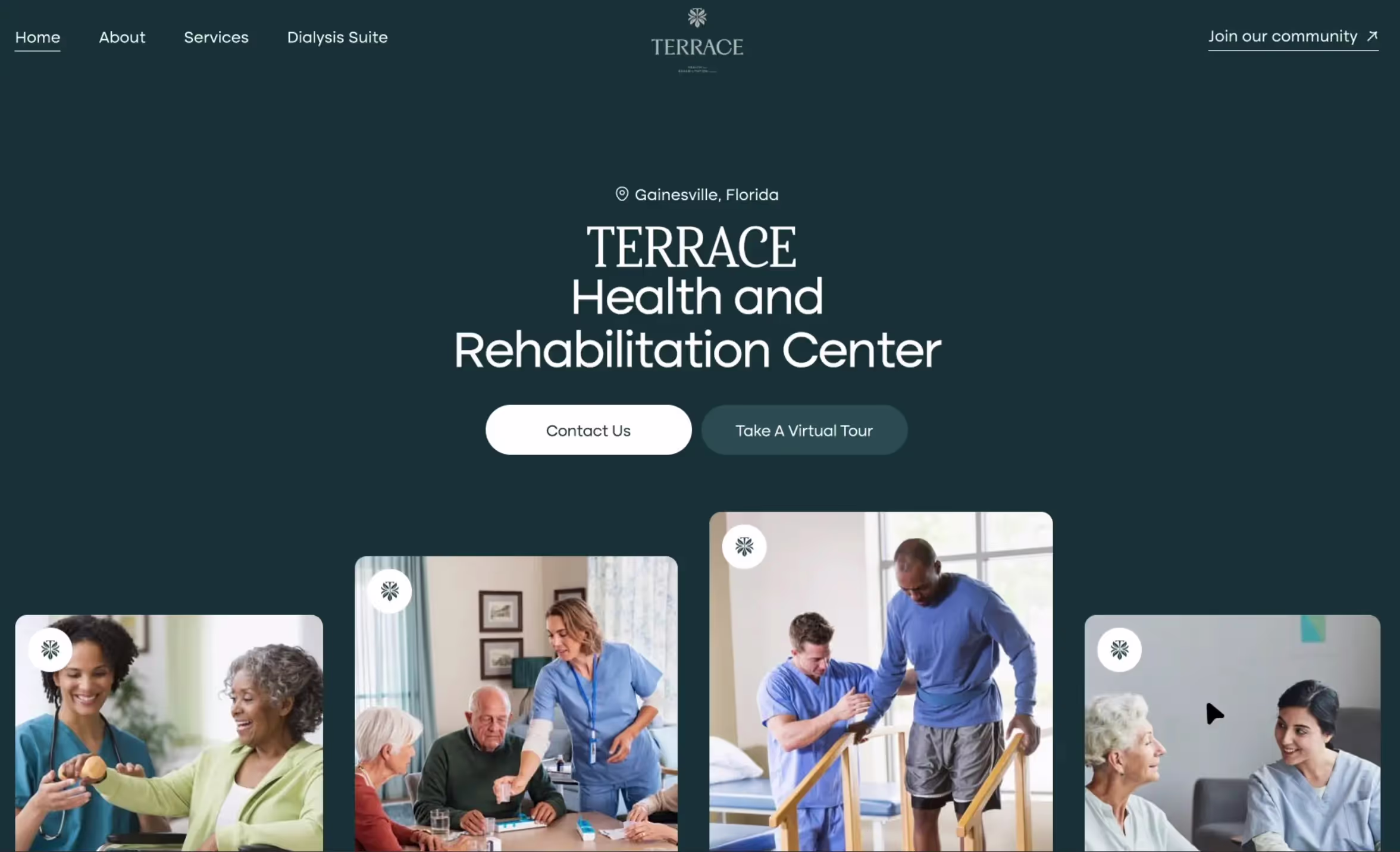 Terrace healthcare brand system