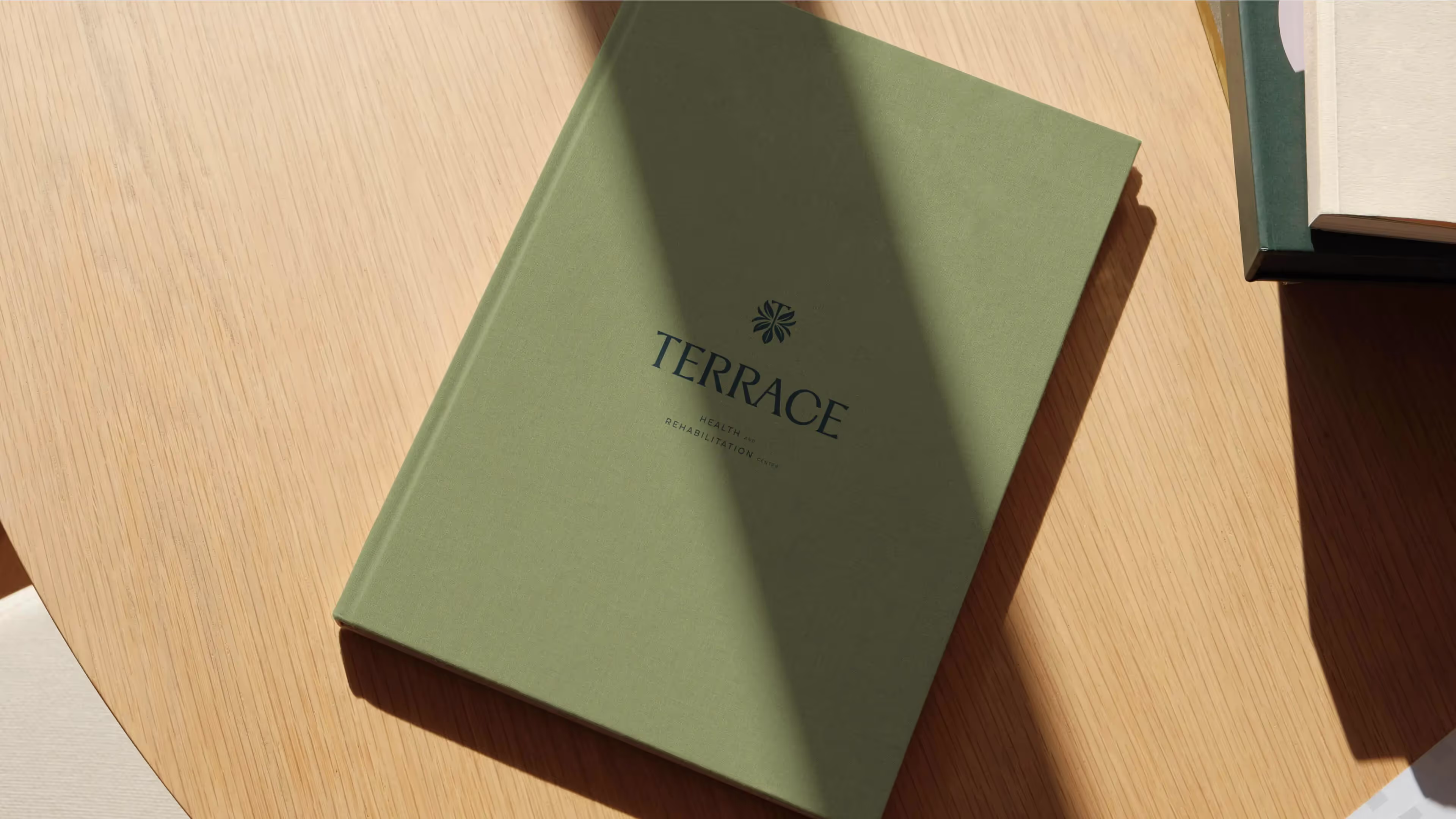 Terrace web development