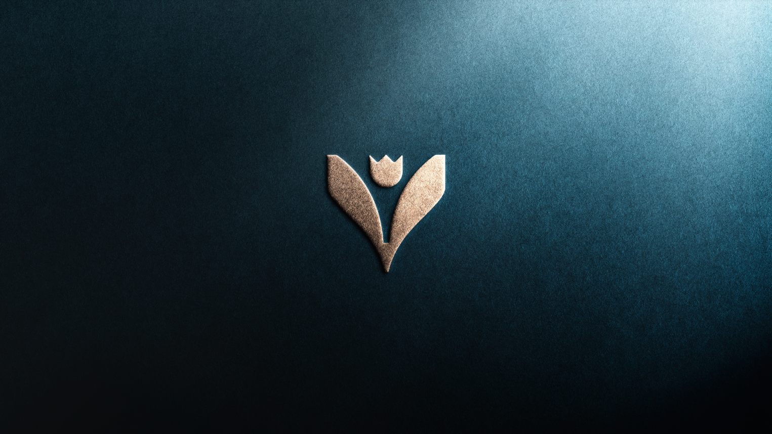 Viera branding & marketing, healthcare project by MOZART&CO.