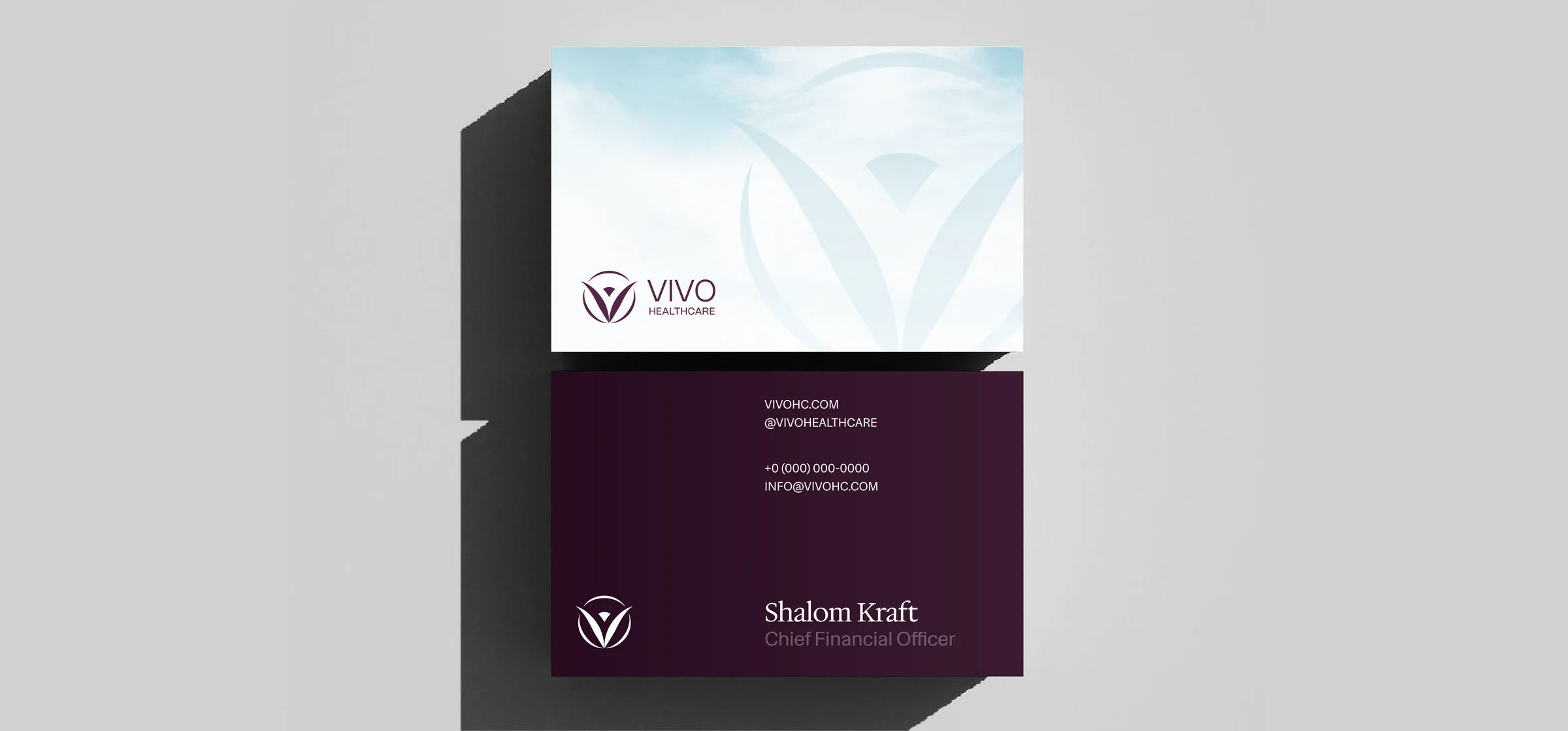 Vivo Healthcare production still
